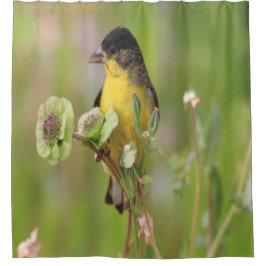 Rideaux De Douche Homme Goldfinch perché sur des fleurs