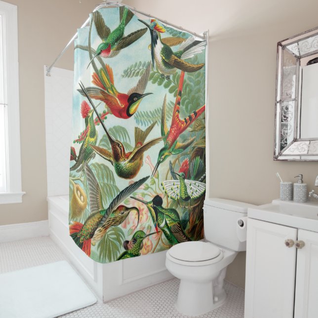 Rideaux De Douche Hummingbirds par Ernst Haeckel (En situation)