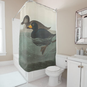 Rideaux De Douche Impression de Macreuse noire d'Audubon : Canard cô