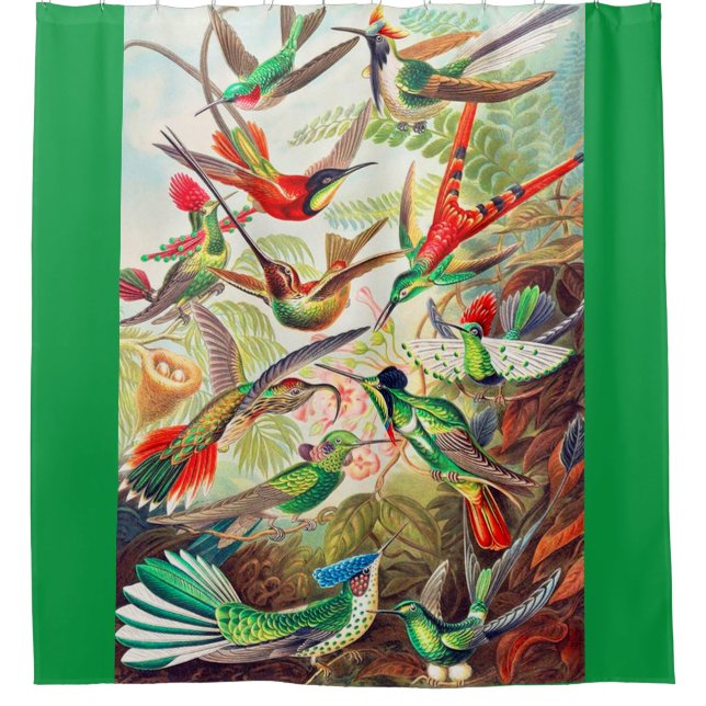 Rideaux De Douche Imprimerie de colibris 1904 (Devant)