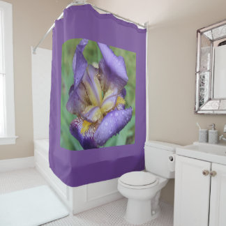 Rideaux De Douche Iris Pourpre (Iris Germanica)