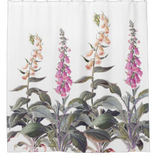 Rideaux De Douche La digitale botanique vintage fleurit floral