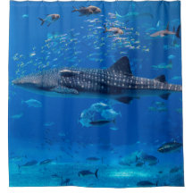 LA VIE MARINE. BALEINE DE RÊVE MANTA RAY FISH OCEA