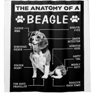 Rideaux De Douche L'Anatomie D'Un Chien Beagle