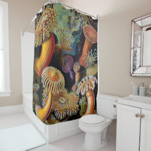 Rideaux De Douche L'art de la nature par Ernst Haeckel