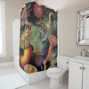Rideaux De Douche L'art de la nature par Ernst Haeckel