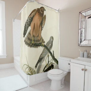 Rideaux De Douche Le faucon des marais des oiseaux d'Amérique d'Audu