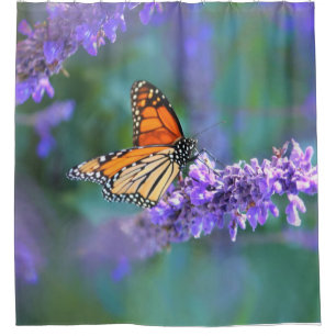 Rideaux De Douche Le papillon Monarque sur la fleur lilas violette