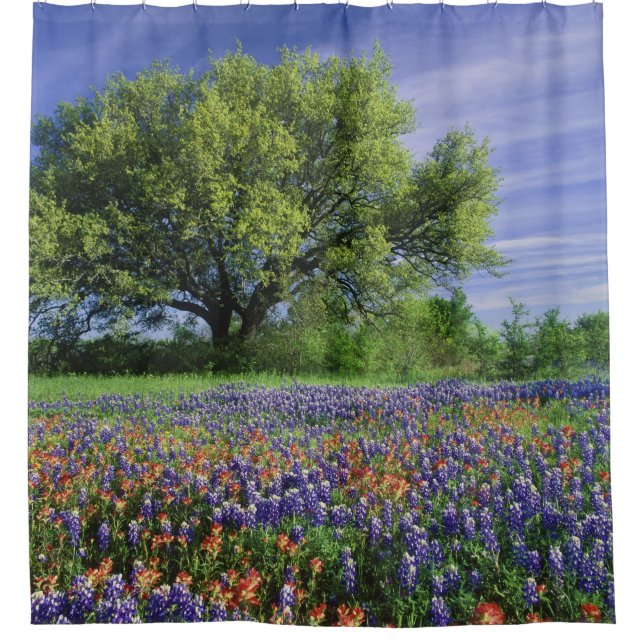 Rideaux De Douche Live Oak & Texas Paintbrush et Texas (Devant)