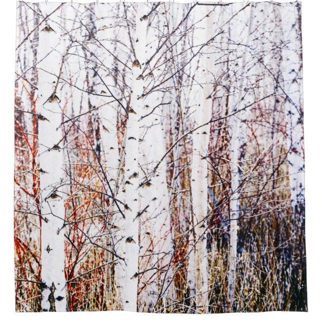 Rideaux De Douche Livre blanc Forêt de bouleaux (Devant)