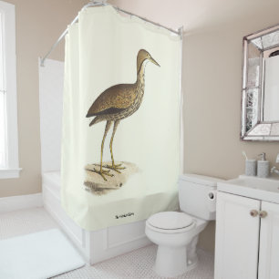 Rideaux De Douche L'oiseau de Bittern américain (Botaurus lentiginos