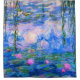 Lys d'eau Claude Monet restaurés