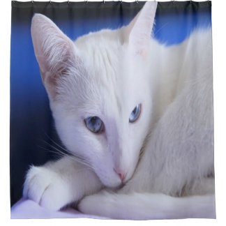 Rideaux De Douche Magnifique Chat Blanc/Ajoutez la photo de votre an