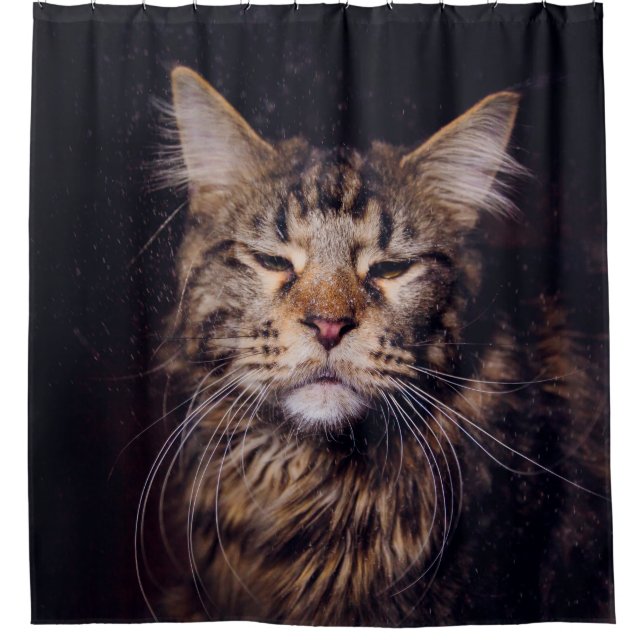 Rideaux De Douche maine coon on a black background younganimal,cat,c (Devant)