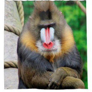 Rideaux De Douche Mandrill 001