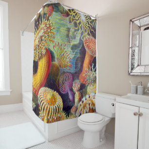 Rideaux De Douche Marine d'actinies d'Ernst Haeckel : Actiniae