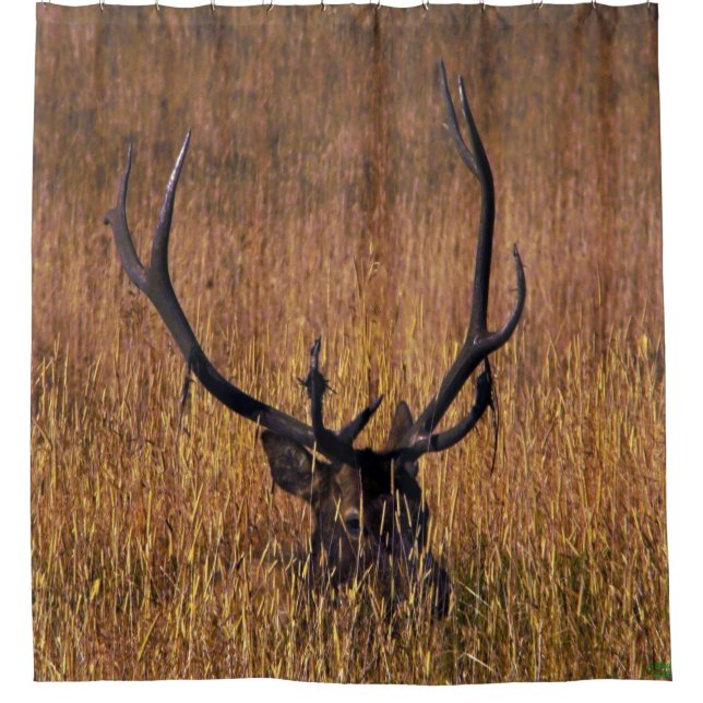 Rideaux De Douche Masquage de la douche d'Elk Curtian (Devant)