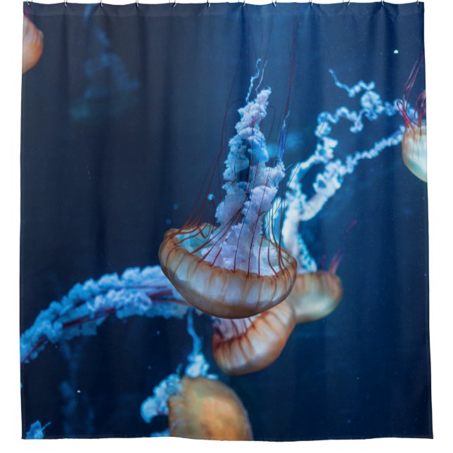 Rideaux De Douche Merveilleux Jellyfish (Devant)