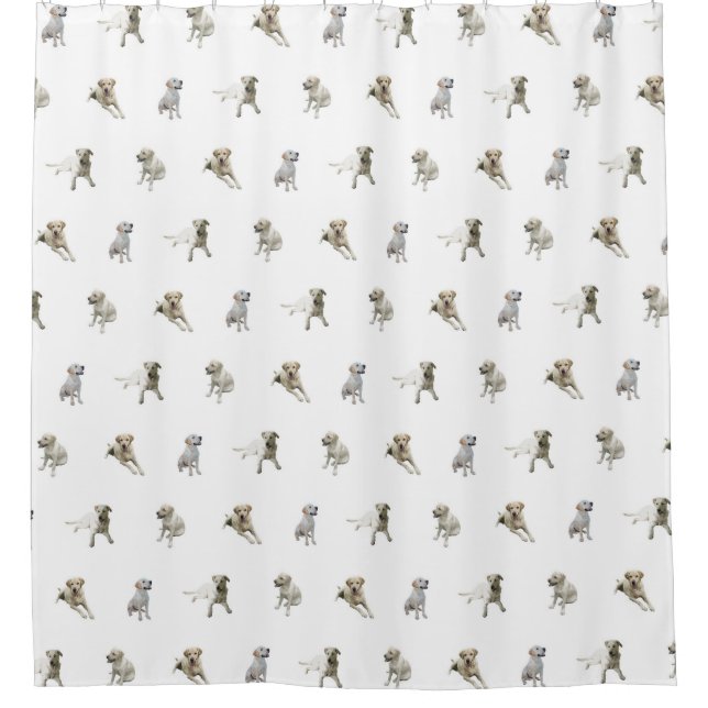 Rideaux De Douche Motif de labrador retriever (blanc) (Devant)