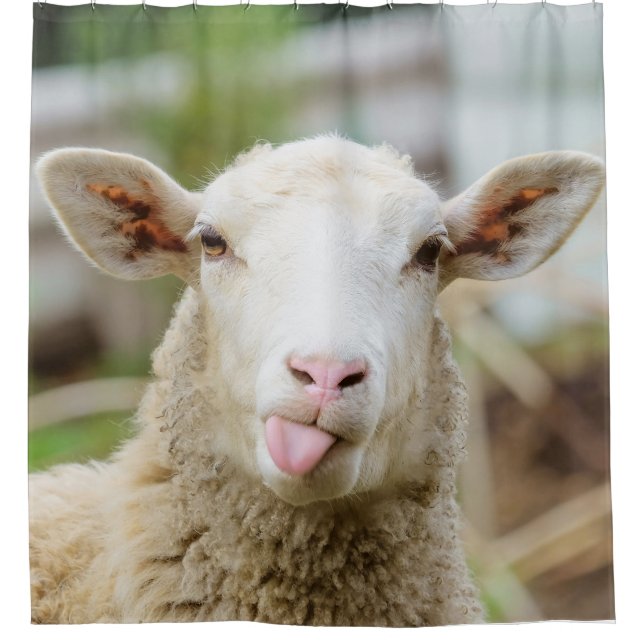 Rideaux De Douche Mouton montrer langue (Devant)