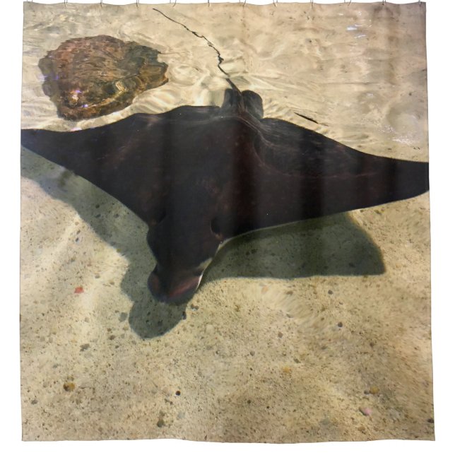 Rideaux De Douche Mystical Stingray (Devant)