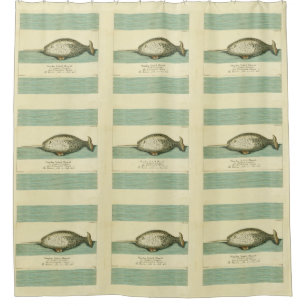 Rideaux De Douche Narwhal Antique Baleine Aquarelle Art scientifique