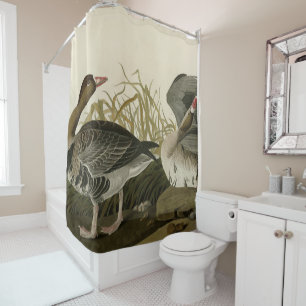 Rideaux De Douche Oie à la façade blanche d'Audubon Birds of America