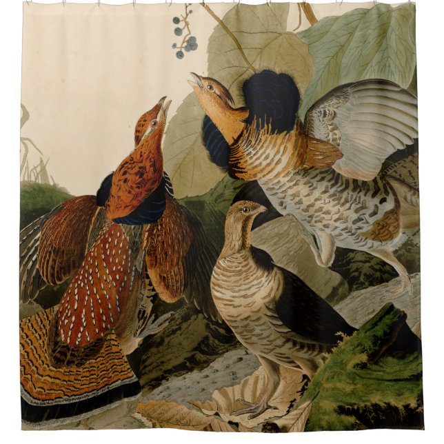 Rideaux De Douche Oiseau de gibier Audubon (Devant)