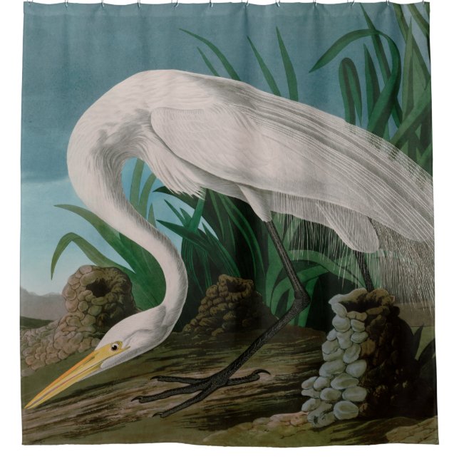 Rideaux De Douche Oiseaux de héron blanc d'Amérique Audubon Imprimer (Devant)