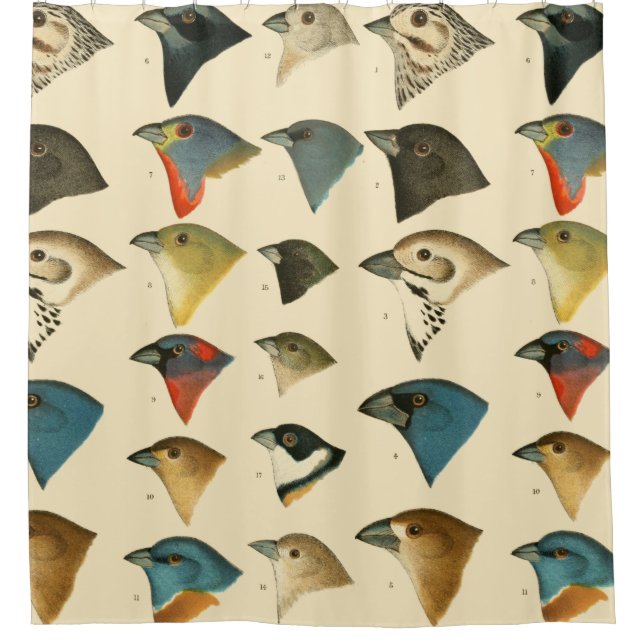 Rideaux De Douche Oiseaux nord-américains (Devant)