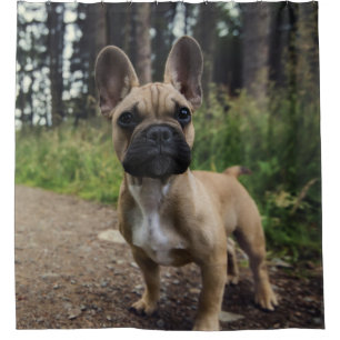 Rideaux De Douche Oreiller à lancer de chien de taureau français