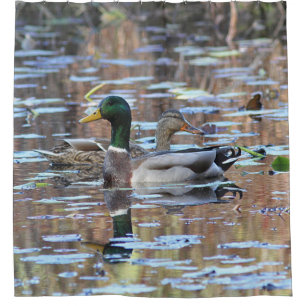 Rideaux De Douche Paires de canard de Mallard