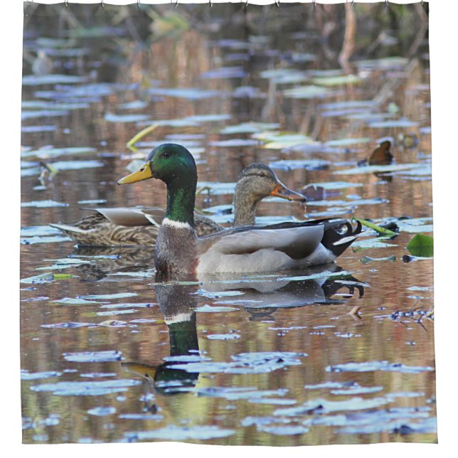Rideaux De Douche Paires de canard de Mallard (Devant)