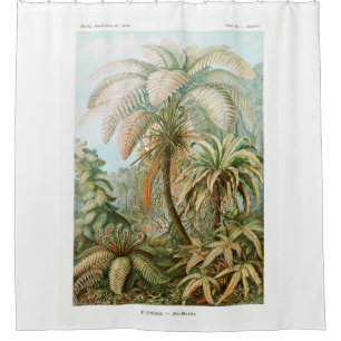 Rideaux De Douche Palm Tree Ernst Haeckel