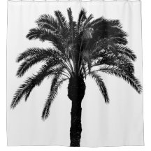 Palmier tropical noir et blanc