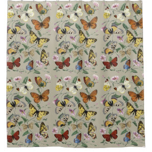 Rideaux De Douche Papillon de nuit vintage 1842 Art botanique floral