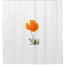 pavot orange