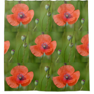 Rideaux De Douche Pavot rouge renversant