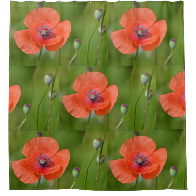 Rideaux De Douche Pavot rouge renversant (Devant)
