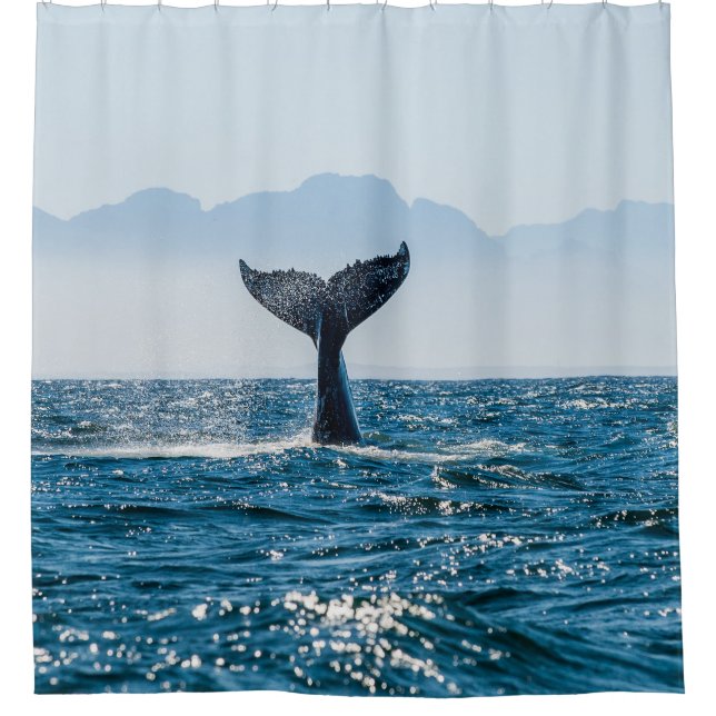 Rideaux De Douche Paysage marin de la baleine : Eau Dramatique. (Devant)