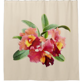 Rideaux De Douche Peach and Crimson Cattleya Orchids