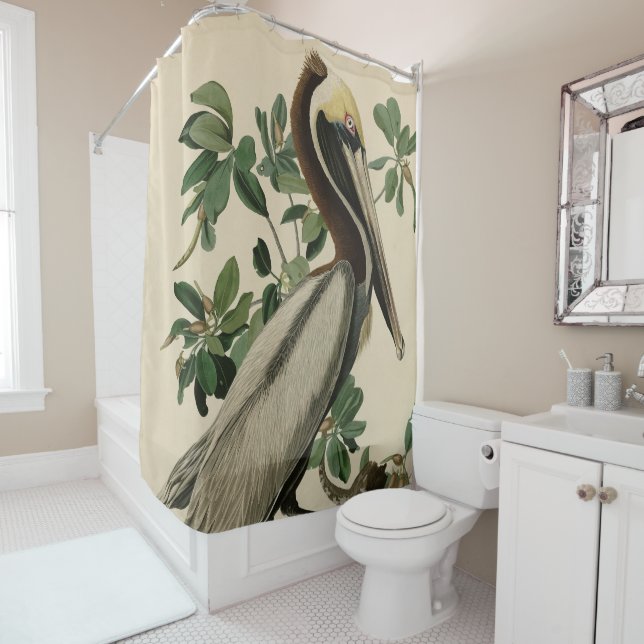 Rideaux De Douche Pélican Brown d'Audubon's Birds of America (En situation)