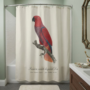 Rideaux De Douche Perroquet éclectus de Vosmaer, Eclectus Roratus Vo