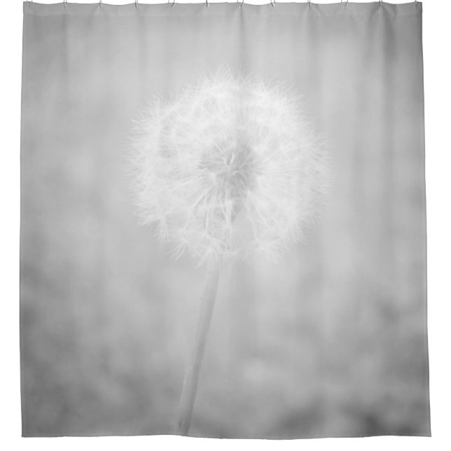 Rideaux De Douche Photo 31 Dandelion (Devant)