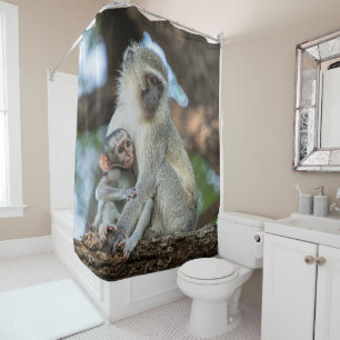 Rideaux De Douche Photographie de faune africaine de singe vervet