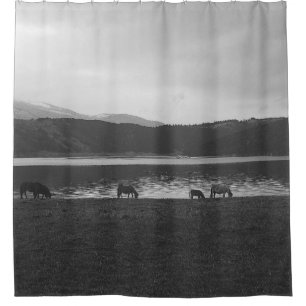 RIDEAUX DE DOUCHE PHOTOGRAPHIE GRIS DE L'ÉCHELLE DES ANIMAUX