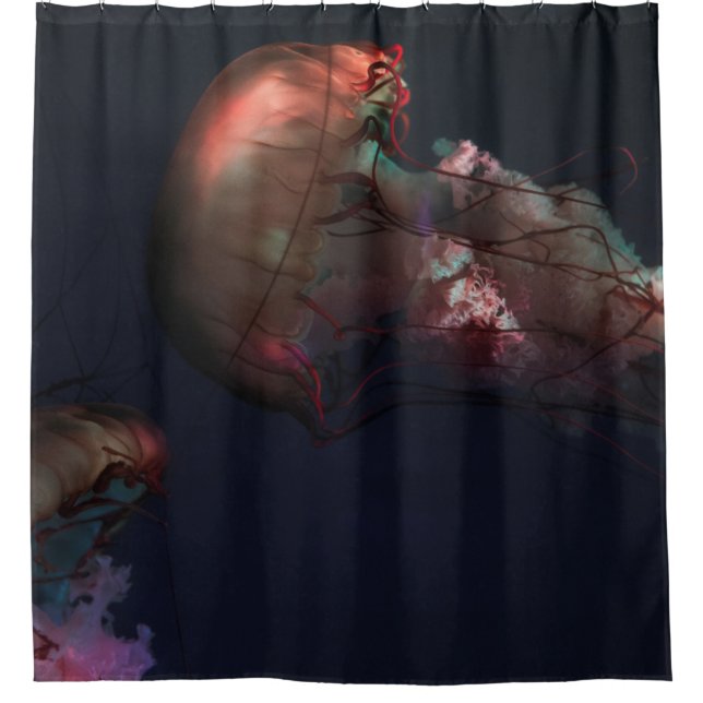 RIDEAUX DE DOUCHE PHOTOGRAPHIE SOUS-MARINE DE DEUX JELLYFISH ROUGE (Devant)