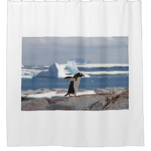 Rideaux De Douche Pingouin devant une arche de glace