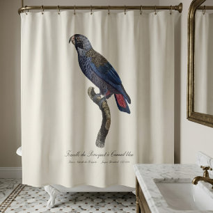 Rideaux De Douche Pionus fuscus ou Pion gris-brun