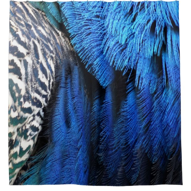 Rideaux De Douche Plumes bleues de paon de velours (Devant)